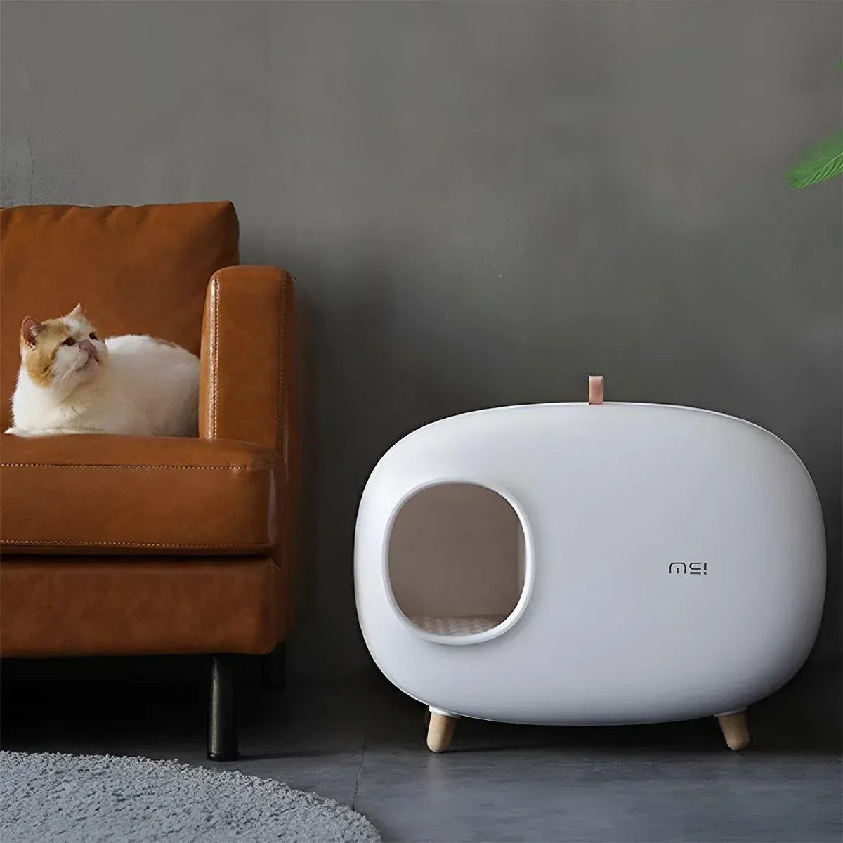 Spud Jax Petshop Cat Litter Box Semi-closed Cat Supplies Cat Toilet Drawer Large Cat Litter Box - White Cat Litter Box Semi-closed Cat Supplies Cat Toilet Drawer Large Cat Litter Box - White Pet Care > Cat Supplies > Cat Litter