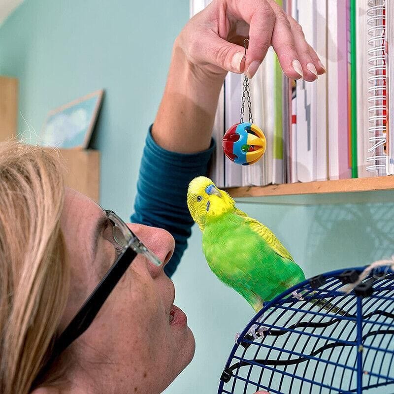 Spud Jax Petshop 10pcs Parrot Toys Set 10pcs Parrot Toys Set Pet Care > Bird > Bird Cage Accessories