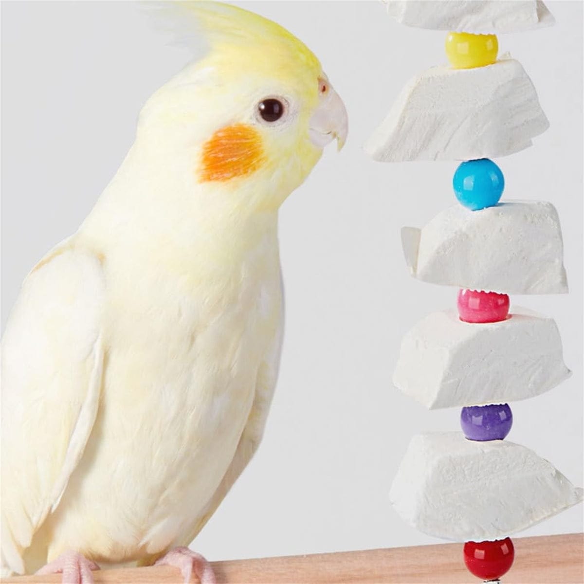 Spud Jax Petshop 2Pcs Bird Cuttlebone Chew Toy 2Pcs Bird Cuttlebone Chew Toy Pet Care > Toys > Dog Toys