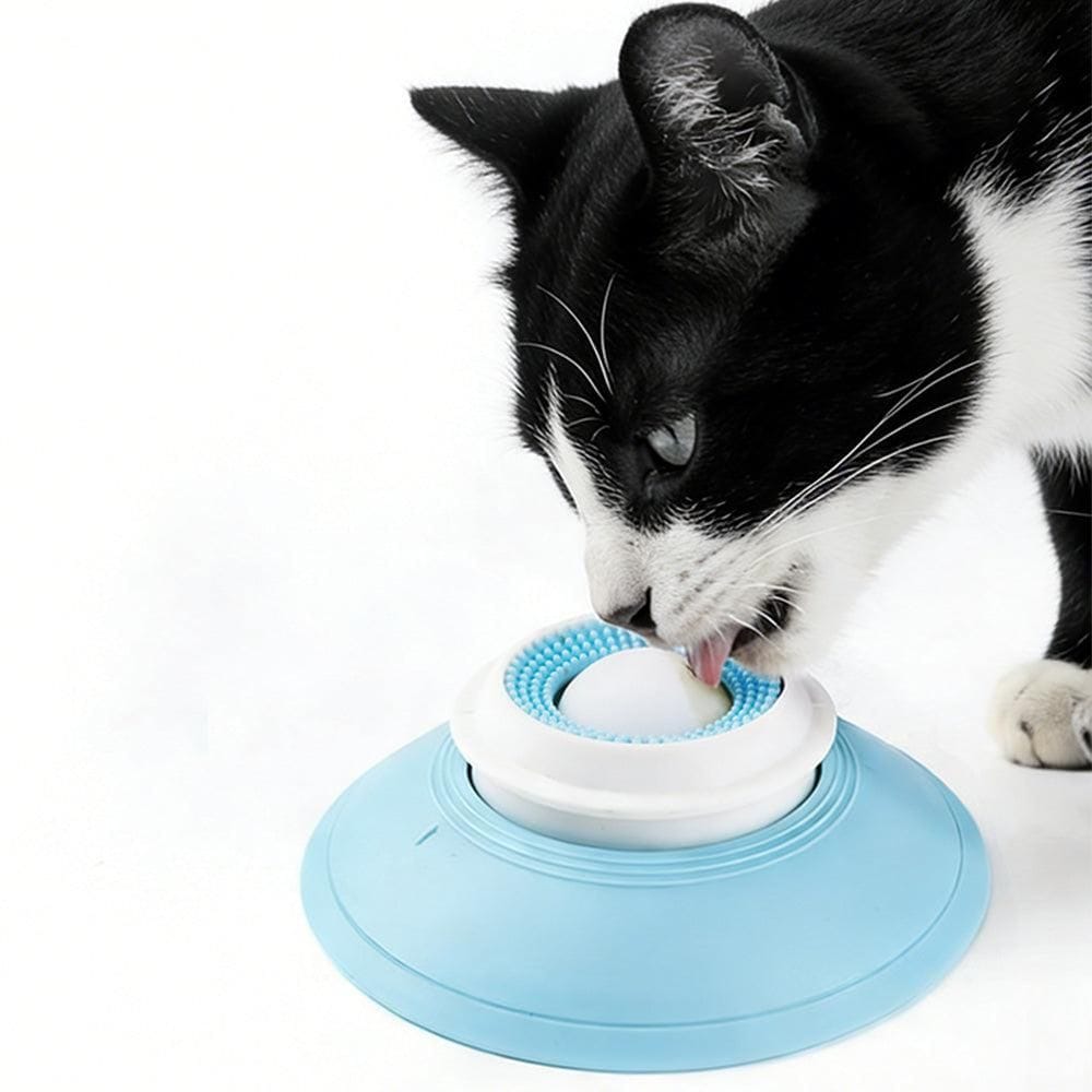 Spud Jax Petshop 2PCS Non-Slip Slow Feeder Bowl for Dogs & Cats 2PCS Non-Slip Slow Feeder Bowl for Dogs & Cats Pet Care > Dog Supplies > Dog Bowls, Feeders & Waterers