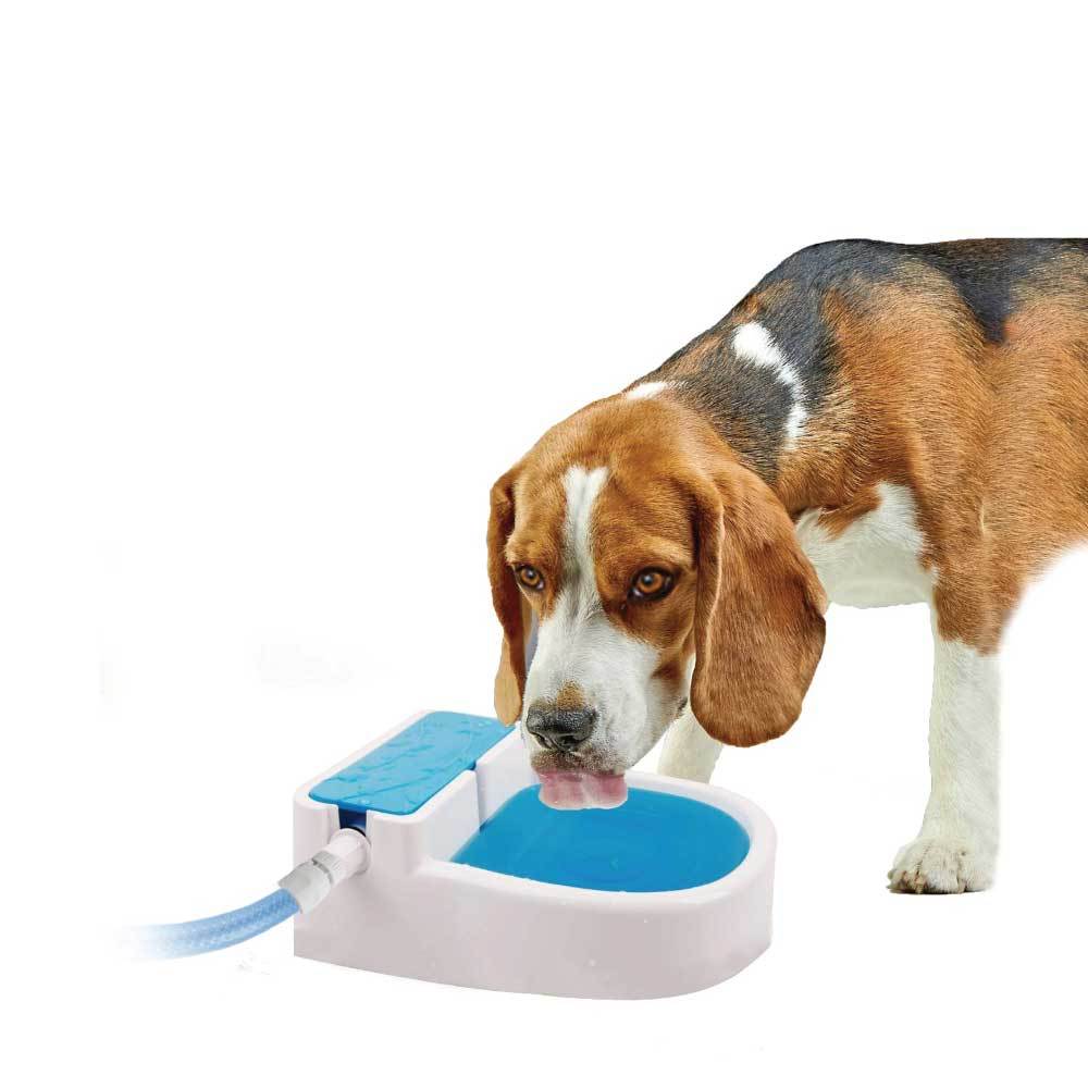 Spud Jax Petshop Auto Filling Dog Drinking Water Fountain - Outdoor Automatic Pet Drinking Bowl Auto Filling Dog Drinking Water Fountain - Outdoor Automatic Pet Drinking Bowl Pet Care > Dog Supplies > Dog Bowls, Feeders & Waterers