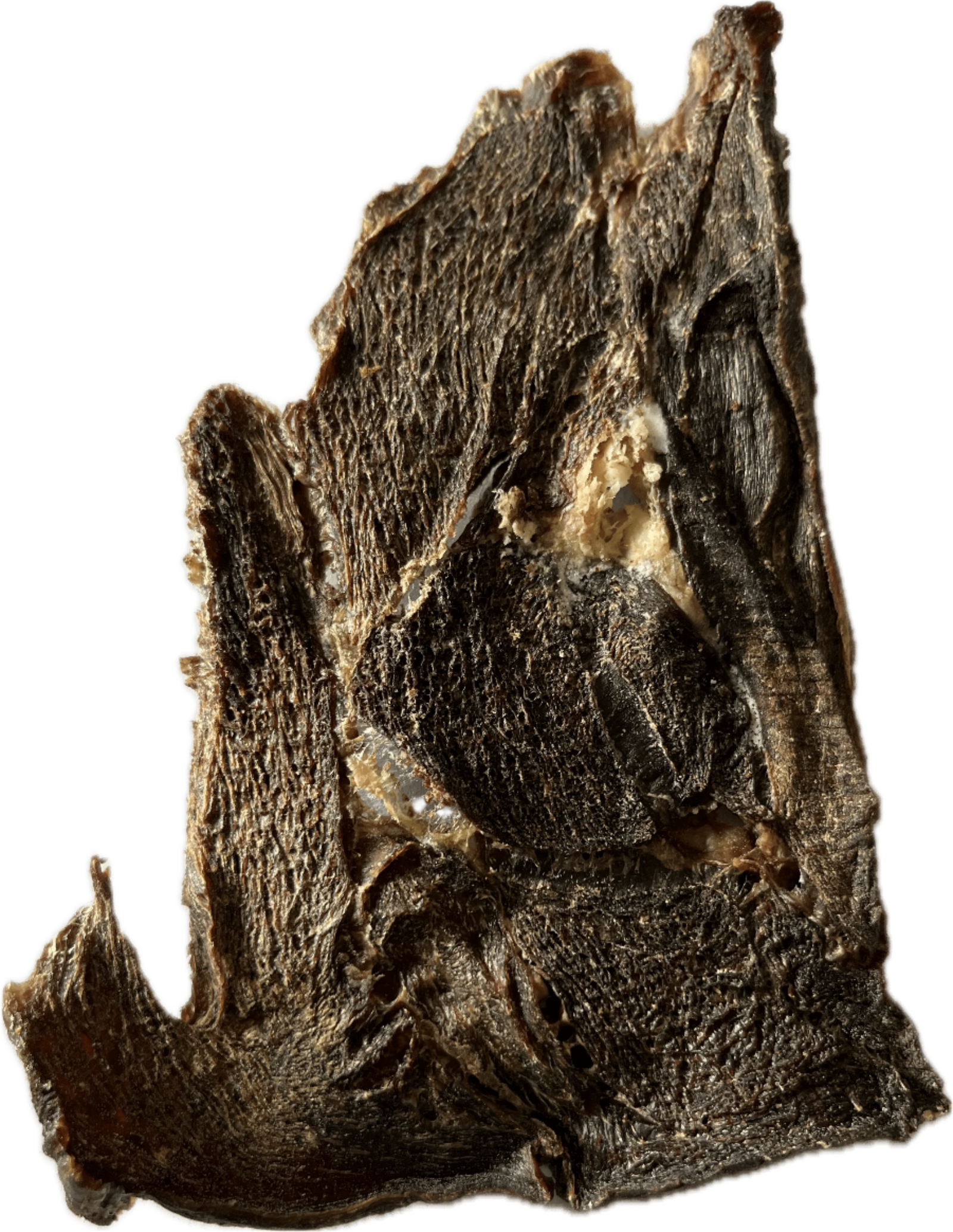 Spud Jax Petshop Beef Jerky dog treats