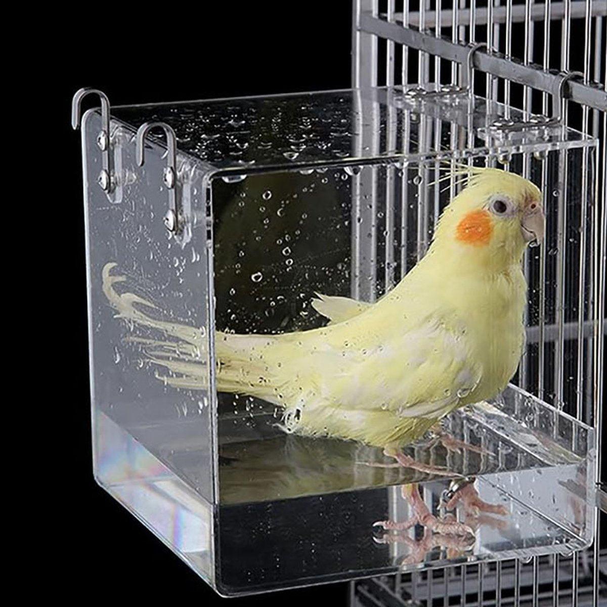 Spud Jax Petshop Bird Bath Box Bird Bath Box Pet Care > Bird > Bird Cage Accessories
