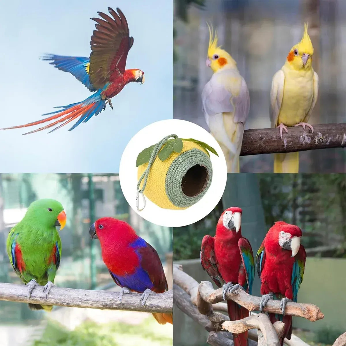 Spud Jax Petshop Bird Nest Bird Nest Pet Care > Bird > Bird Cage Accessories