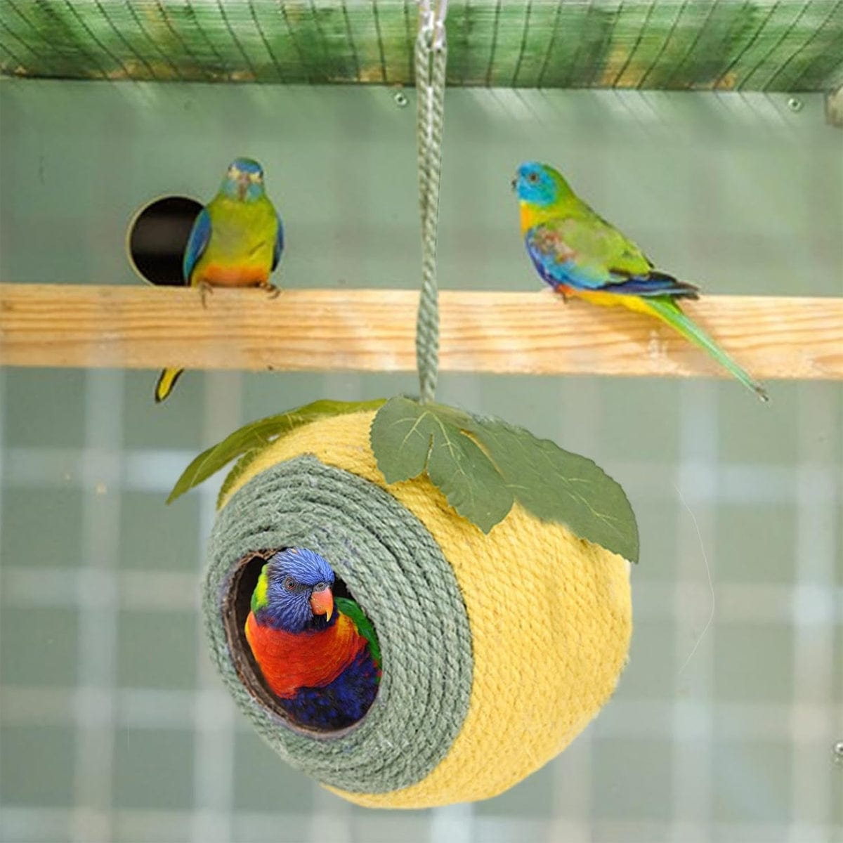 Spud Jax Petshop Bird Nest Parrot Nest Coconut Shell Braided Twine Colourful Cage Hanging Bed - White-Brown-Screw Model Bird Nest Parrot Nest Coconut Shell Braided Twine Colourful Cage Hanging Bed - White-Brown-Screw Model Pet Care > Bird > Bird Cage Accessories