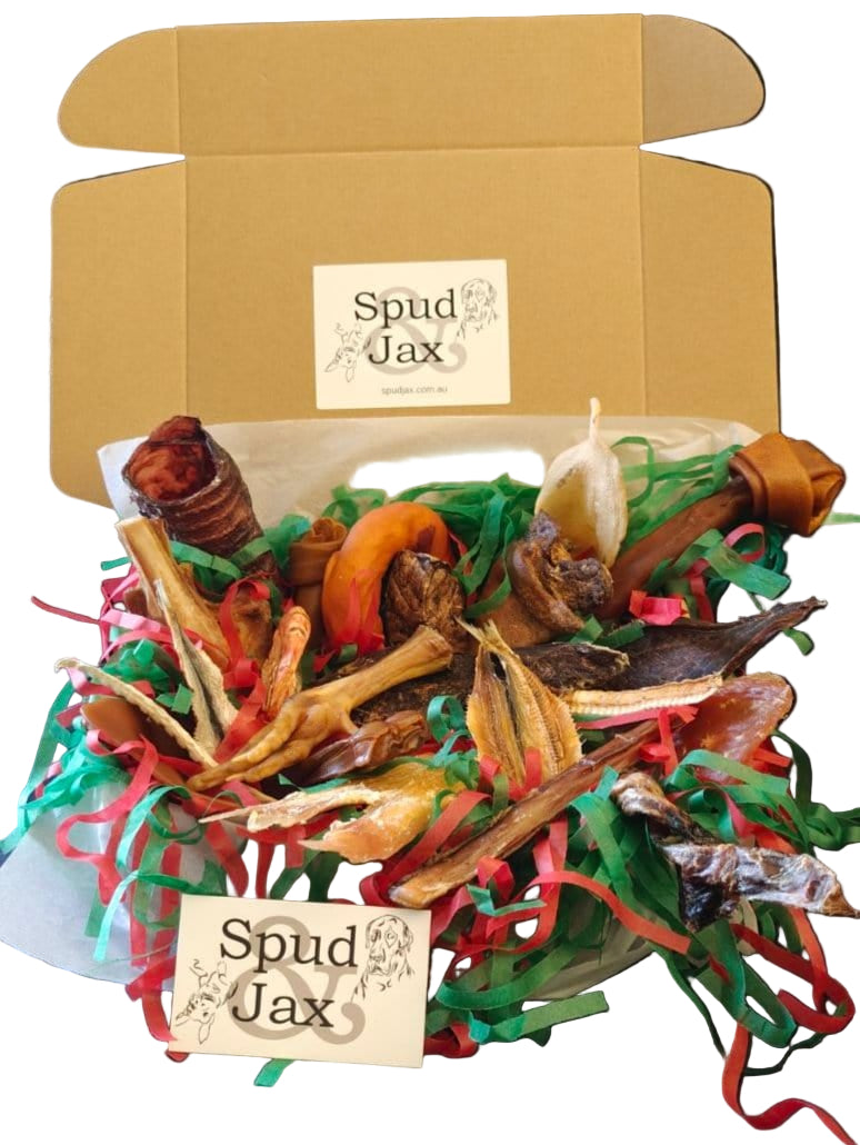 Spud Jax Petshop Christmas Treat Box Christmas Treat Box