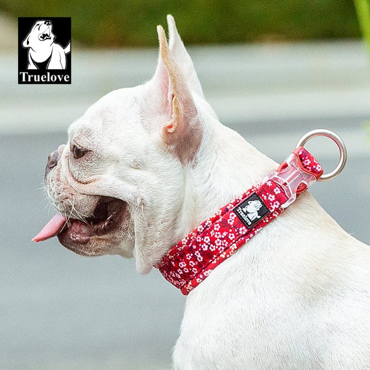 Spud Jax Petshop Floral Collar Poppy Red 3XL Pet Care > Dog Supplies