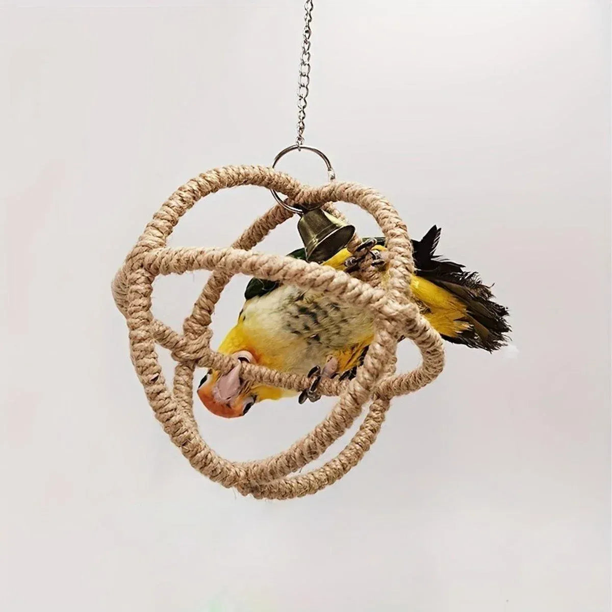 Spud Jax Petshop Interactive Parrot Hoop Swing Interactive Parrot Hoop Swing Pet Care > Bird > Bird Cage Accessories