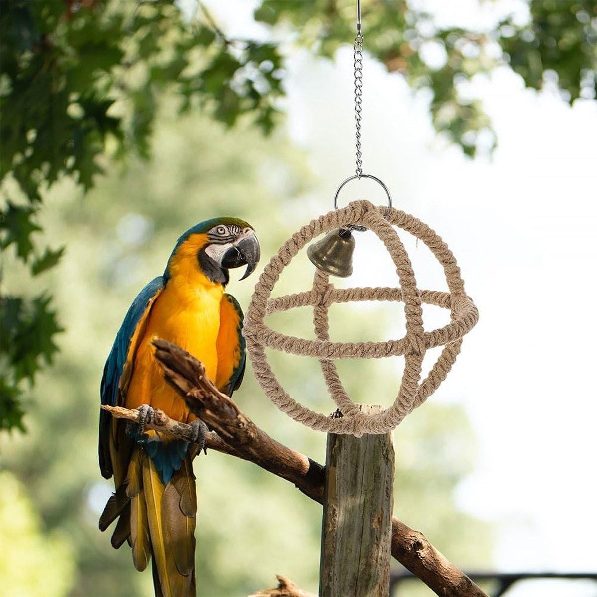 Spud Jax Petshop Interactive Parrot Hoop Swing Interactive Parrot Hoop Swing Pet Care > Bird > Bird Cage Accessories