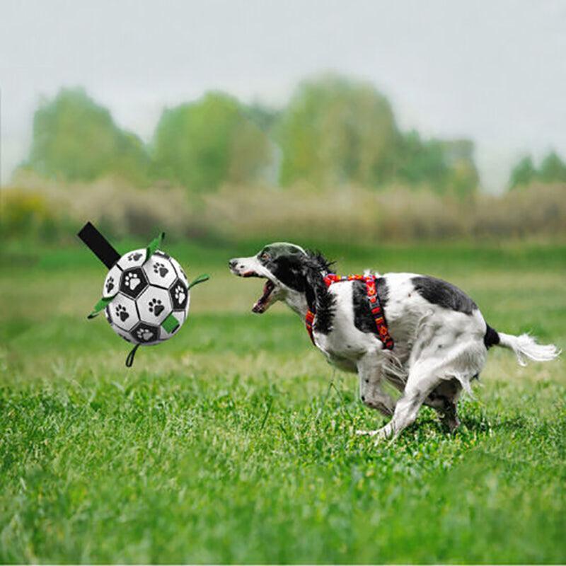 Spud Jax Petshop Interactive Pet Football Dog Toys Grab Tabs Outdoor Training Soccer Chew Balls Interactive Pet Football Dog Toys Grab Tabs Outdoor Training Soccer Chew Balls Pet Care > Toys > Dog Toys