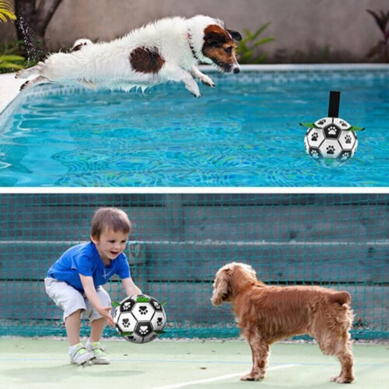 Spud Jax Petshop Interactive Pet Football Dog Toys Grab Tabs Outdoor Training Soccer Chew Balls Interactive Pet Football Dog Toys Grab Tabs Outdoor Training Soccer Chew Balls Pet Care > Toys > Dog Toys