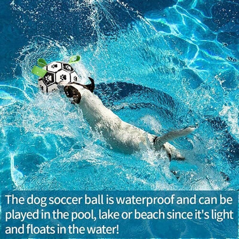 Spud Jax Petshop Interactive Pet Football Dog Toys Grab Tabs Outdoor Training Soccer Chew Balls Interactive Pet Football Dog Toys Grab Tabs Outdoor Training Soccer Chew Balls Pet Care > Toys > Dog Toys