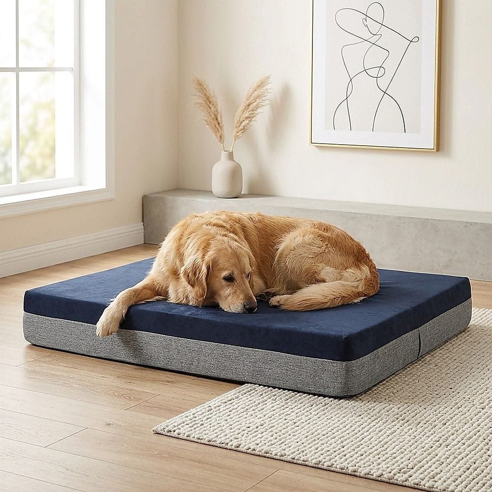 Spud Jax Petshop Memory Foam Dog Bed 15CM Thick Large Orthopedic Dog Pet Beds Waterproof Big Memory Foam Dog Bed 15CM Thick Large Orthopedic Dog Pet Beds Waterproof Big Pet Care > Cleaning & Maintenance