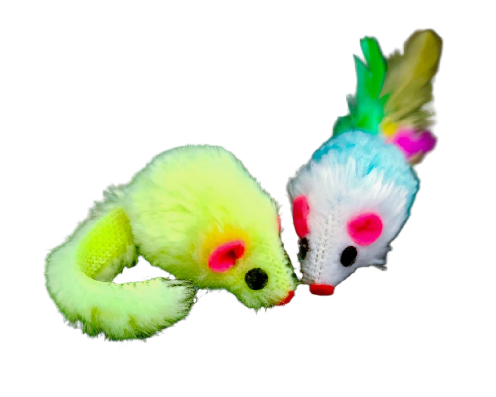 Spud Jax Petshop New Kitten Pack New Kitten Pack Pet Care > Cat Supplies