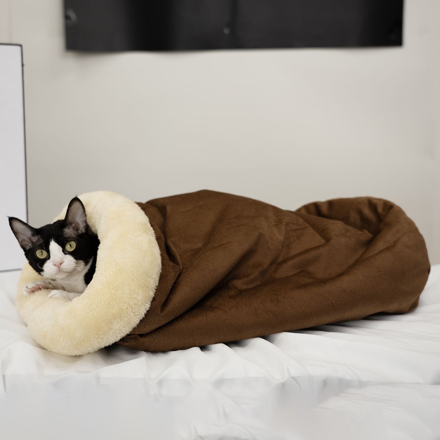 Spud Jax Petshop Upgraded Support Pet Warm Bed Dark Brown Upgraded Support Pet Warm Bed Dark Brown Pet Care > Dog Supplies > Dog Beds