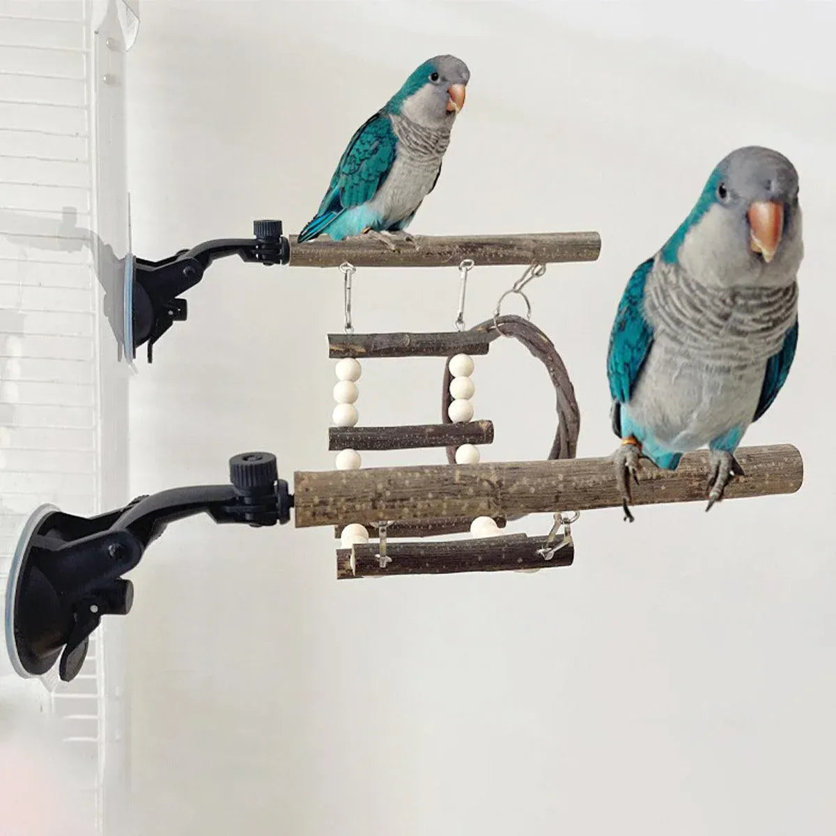 Spud Jax Petshop Wooden Parrot Stand Climbing Ladder Swing Toy for Birds Cage Play Accessories - Nut Washer Fixed Type Wooden Parrot Stand Climbing Ladder Swing Toy for Birds Cage Play Accessories - Nut Washer Fixed Type Pet Care > Bird > Bird Cage Accessories