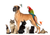 Homepage