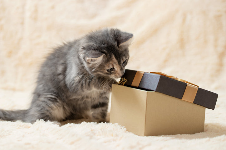 Natural Cat Treats
