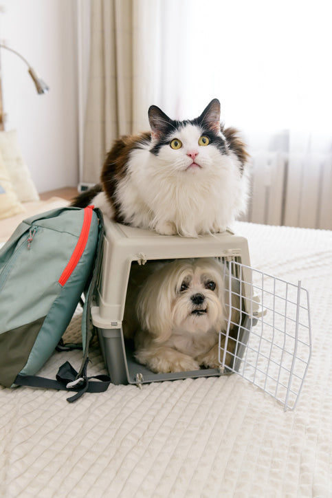 Carriers