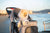 Pet Stroller