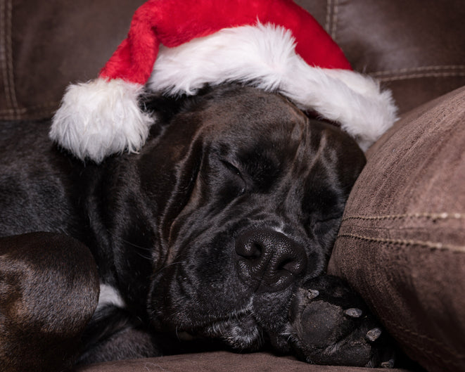 Christmas treats