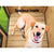 Spud Jax Petshop i.Pet Dog Pet Kennel Dog House Large Wooden 96cm x 69cm x 66cm i.Pet Dog Pet Kennel Dog House Large Wooden 96cm x 69cm x 66cm Pet Care
