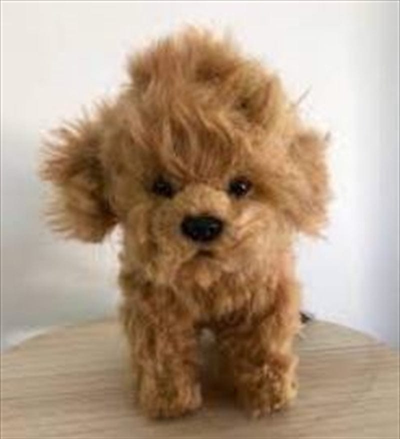 Spud Jax Petshop Toy Poodle Tea Cup 16cm Toy Poodle Tea Cup 16cm Pet Care &gt; Toys &gt; Dog Toys