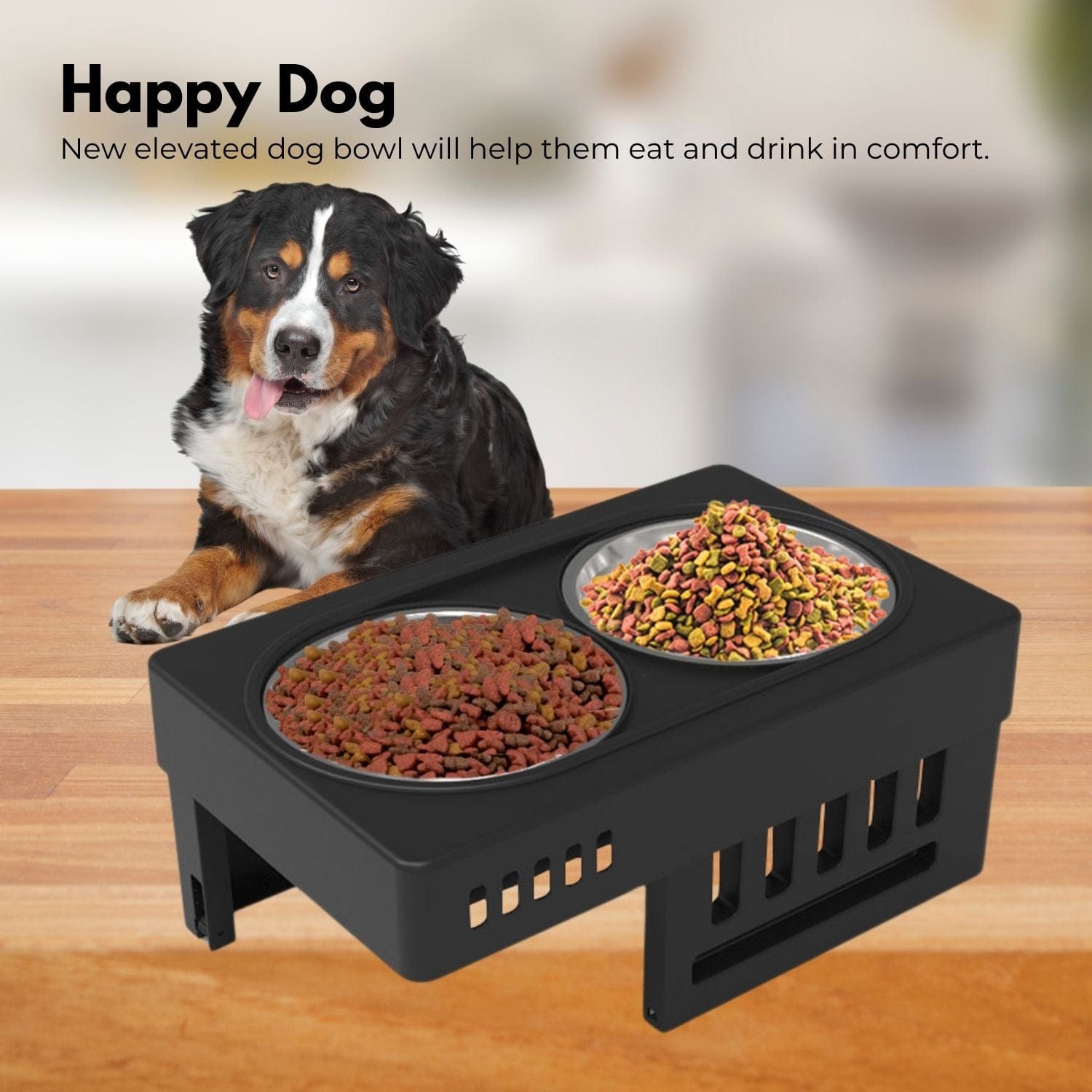 Spud Jax Petshop FLOOFI Elevated Raised Pet Feeder with Double Bowl (Black) FI-FD-119-SY Pet Care > Dog Supplies