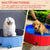 Spud Jax Petshop Floofi Pet Pool 160cm*30cm XXL Blue Pet Care