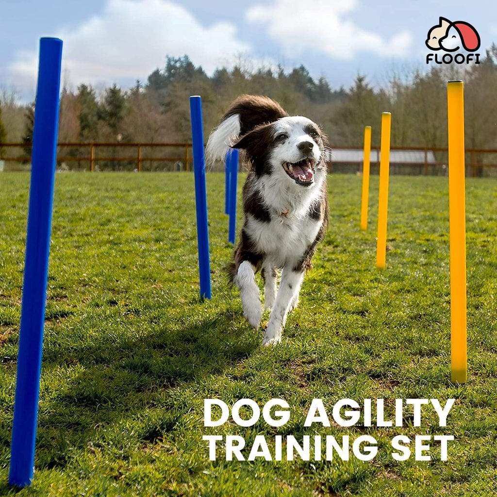 Spud Jax Petshop Floofi Dog Agility Training Set FI-DGT-100-SL / FI-DGT-100-YX Pet Care > Dog Supplies