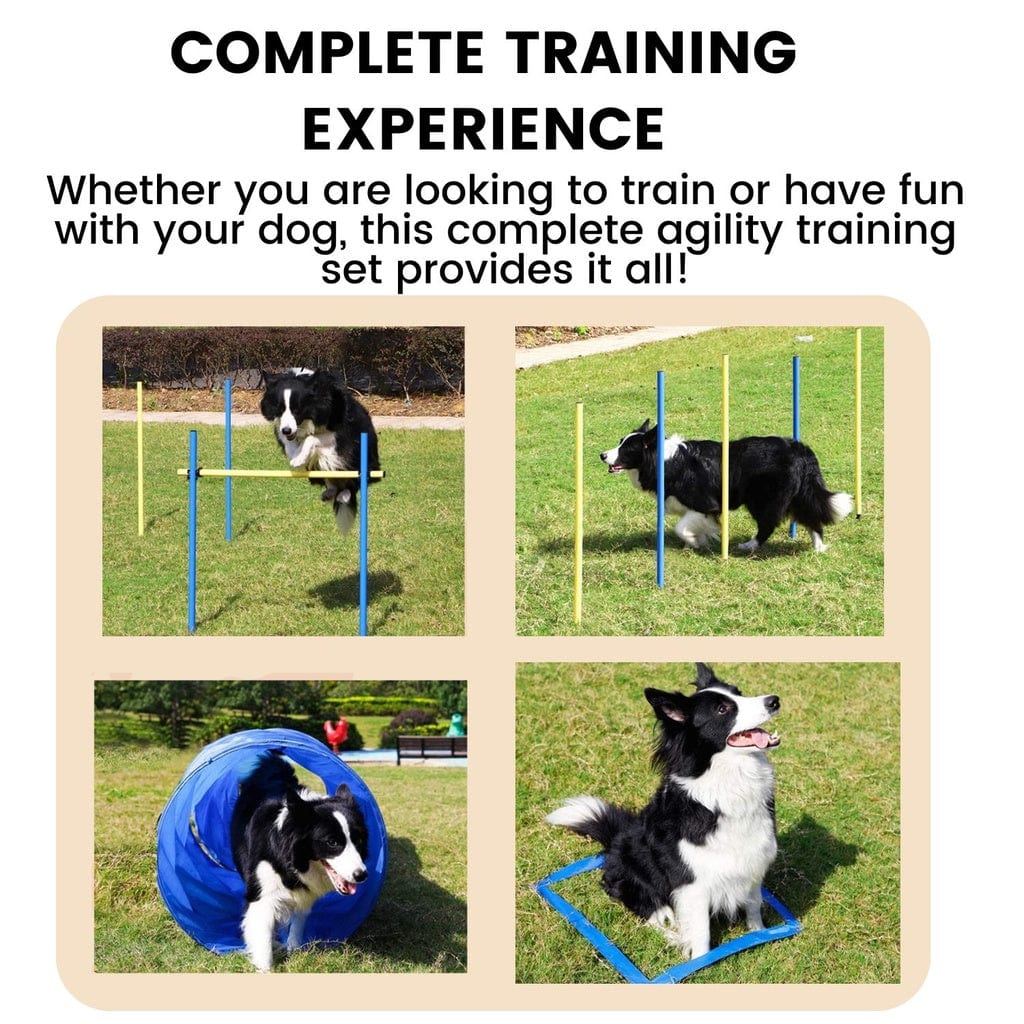 Spud Jax Petshop Floofi Dog Agility Training Set FI-DGT-100-SL / FI-DGT-100-YX Pet Care > Dog Supplies