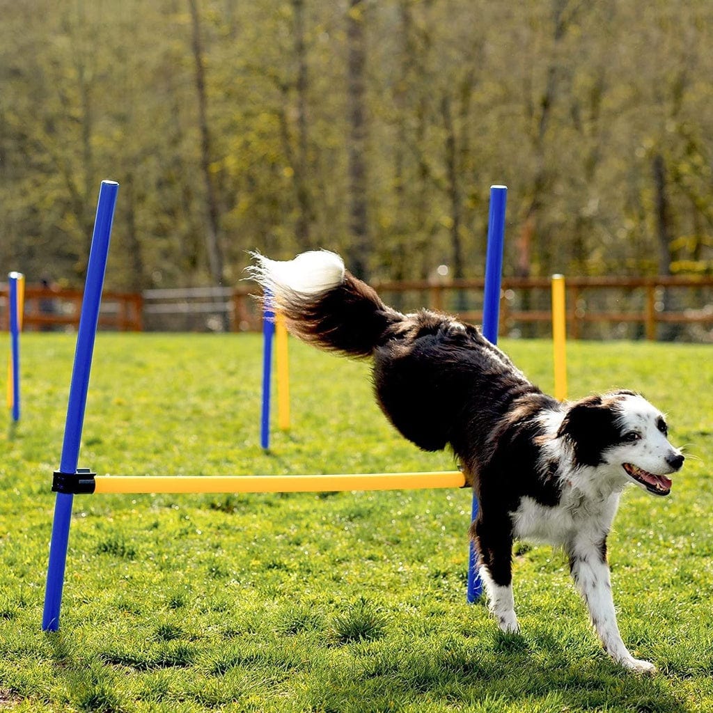 Spud Jax Petshop Floofi Dog Agility Training Set FI-DGT-100-SL / FI-DGT-100-YX Pet Care > Dog Supplies