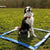 Spud Jax Petshop Floofi Dog Agility Training Set FI-DGT-100-SL / FI-DGT-100-YX Pet Care > Dog Supplies