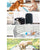 Spud Jax Petshop 30x Pack Puppy Training Mat 56x56cm Dog Indoor Pads Pee Absorbent Toilet 30x Pack Puppy Training Mat 56x56cm Dog Indoor Pads Pee Absorbent Toilet Pet Care > Dog Supplies > Dog Training Aids