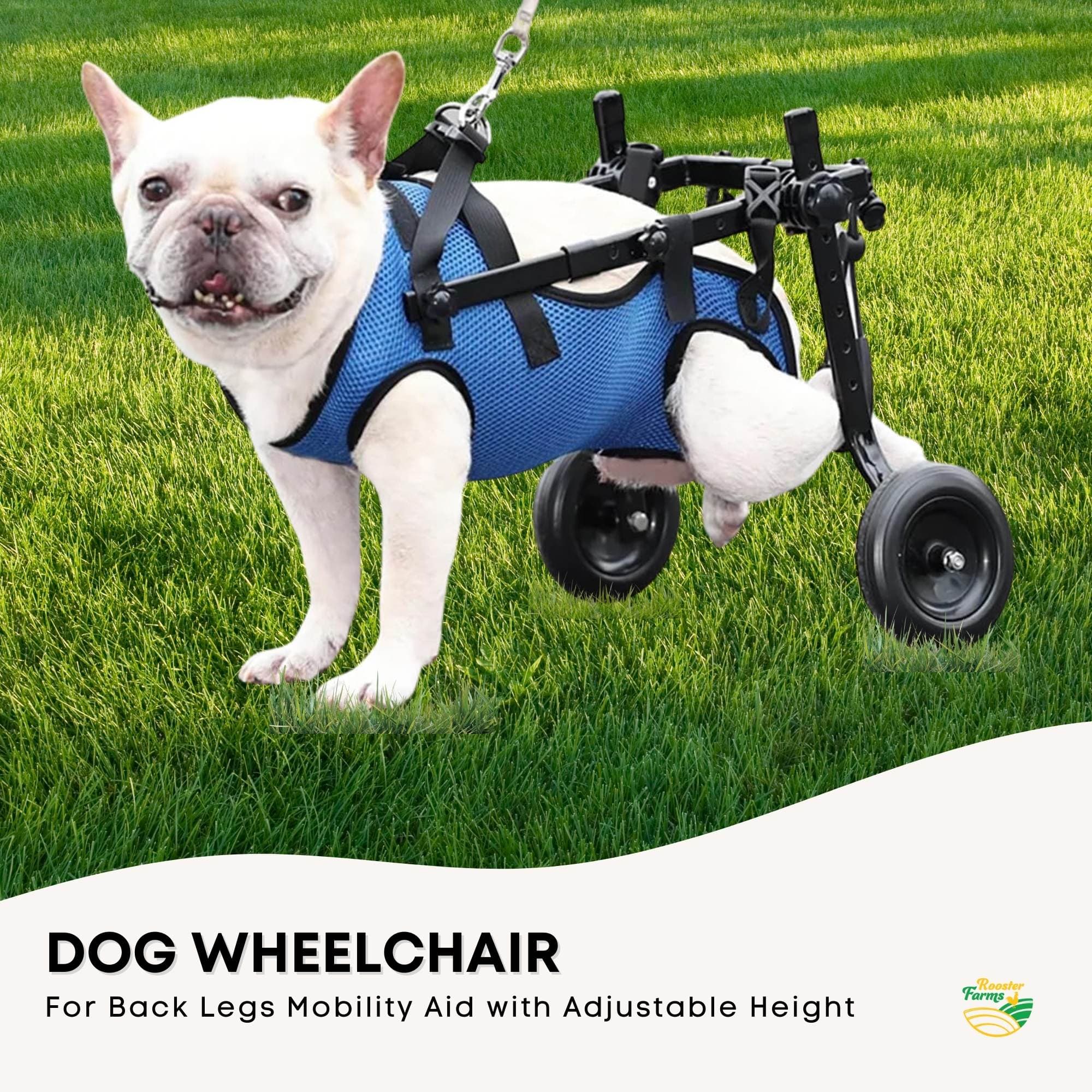 Spud Jax Petshop Rooster Farms Little Dog Wheelchair Medium Harness - Adjustable Back Leg Aid Rooster Farms Little Dog Wheelchair Medium Harness - Adjustable Back Leg Aid Pet Care > Dog Supplies > Dog Carriers & Crates