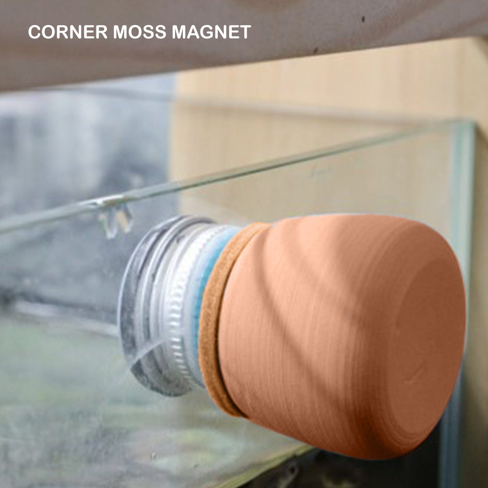 Spud Jax Petshop Fish Tank Corner Moss Magnet Scraper Glass Algae Cleaner Magnetic Scrubber BROWN Fish Tank Corner Moss Magnet Scraper Glass Algae Cleaner Magnetic Scrubber BROWN Pet Care > Aquarium > Aquarium Cleaning Supplies