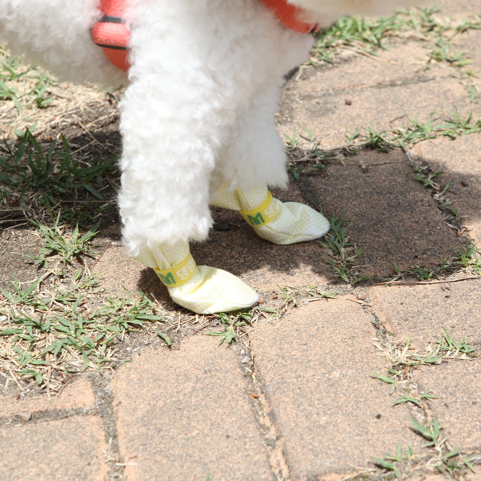 Spud Jax Petshop 28pc X Dog Shoes Waterproof Disposable Boots Anti-Slip Pet Socks S YELLOW Pet Care > Dog Supplies