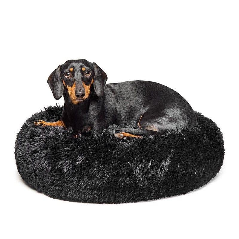 Spud Jax Petshop Fur King "Aussie" Calming Dog Bed  - Black - 60 CM - Small Pet Care > Dog Supplies