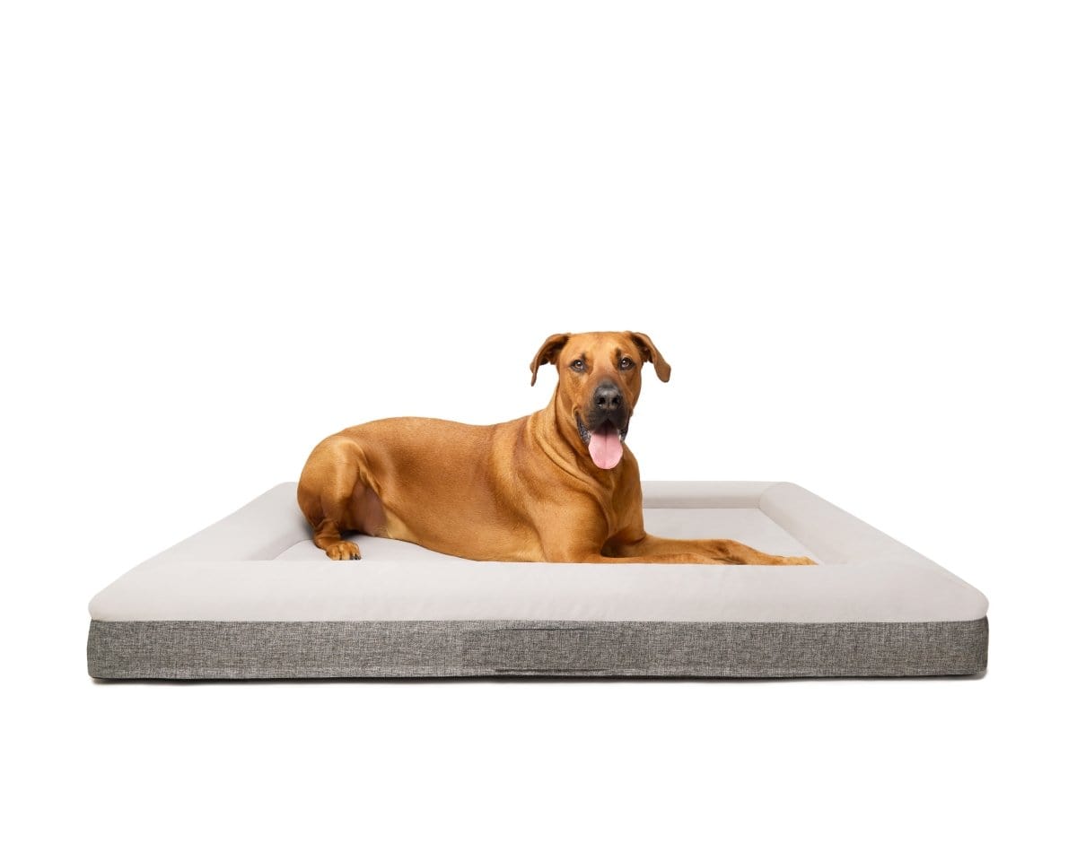 Spud Jax Petshop Fur King &quot;Ortho&quot; Orthopedic Dog Bed - XL Pet Care &gt; Dog Supplies