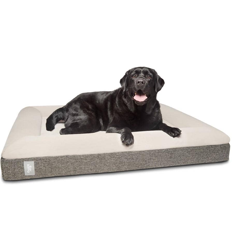 Spud Jax Petshop Fur King &quot;Ortho&quot; Orthopedic Dog Bed - Large Pet Care &gt; Dog Supplies