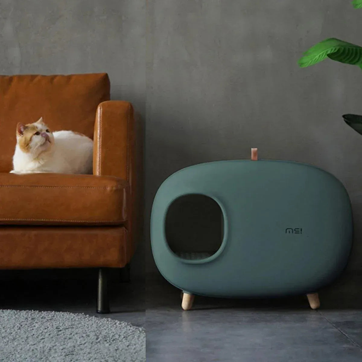 Spud Jax Petshop Cat Litter Box Semi-closed Cat Supplies Cat Toilet Drawer Large Cat Litter Box - White Cat Litter Box Semi-closed Cat Supplies Cat Toilet Drawer Large Cat Litter Box - White Pet Care > Cat Supplies > Cat Litter