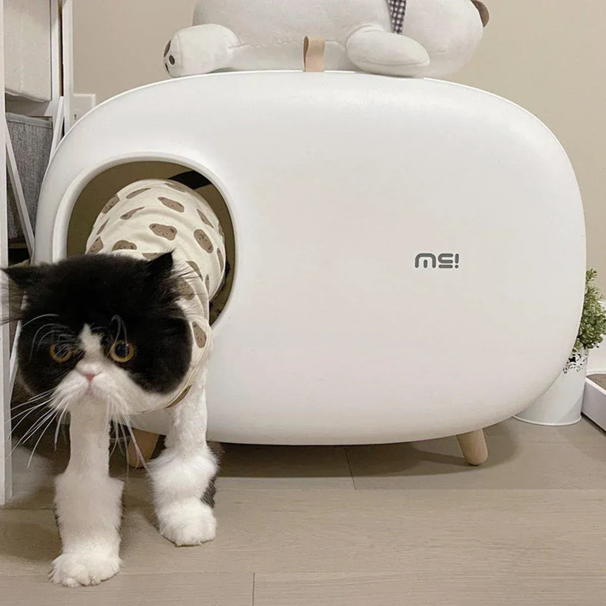 Spud Jax Petshop Cat Litter Box Semi-closed Cat Supplies Cat Toilet Drawer Large Cat Litter Box - White Cat Litter Box Semi-closed Cat Supplies Cat Toilet Drawer Large Cat Litter Box - White Pet Care > Cat Supplies > Cat Litter