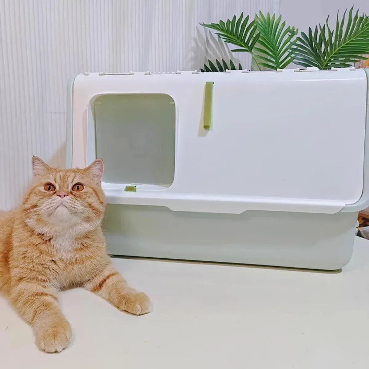 Spud Jax Petshop Large Fully Enclosed Cat Litter Box with Lid Odor Control Litter Pan for Cats - Yellow Large Fully Enclosed Cat Litter Box with Lid Odor Control Litter Pan for Cats - Yellow Pet Care > Cat Supplies > Cat Litter