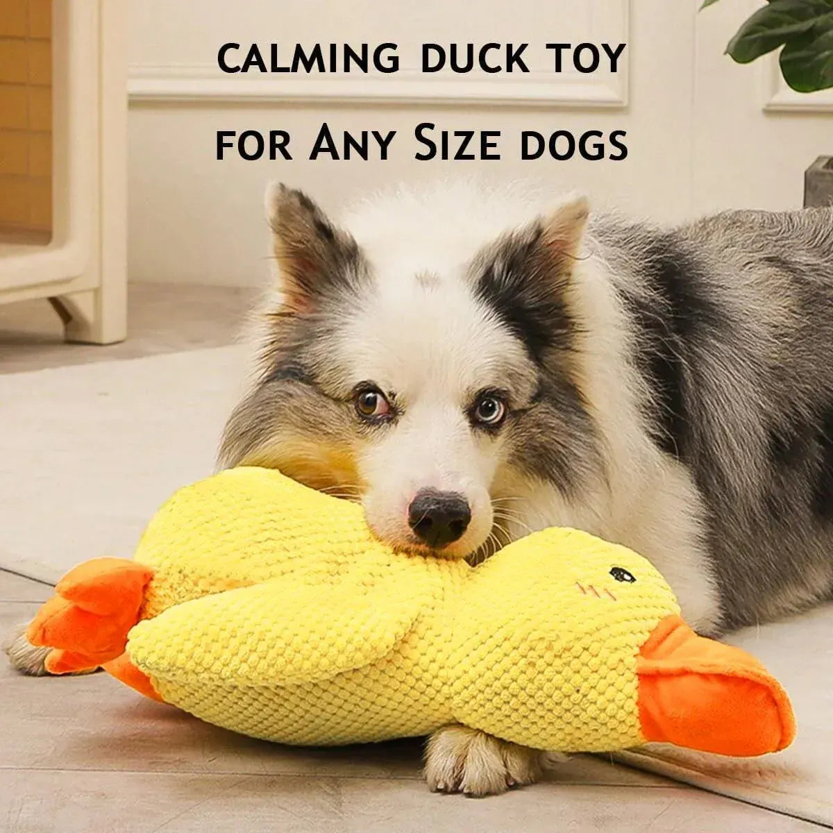 Spud Jax Petshop Plush Cartoon Duck Dog Toy Interactive Squeaky Pet Toy Durable Fun Chew Toy - Green Plush Cartoon Duck Dog Toy Interactive Squeaky Pet Toy Durable Fun Chew Toy - Green Pet Care > Dog Supplies > Dog Apparel