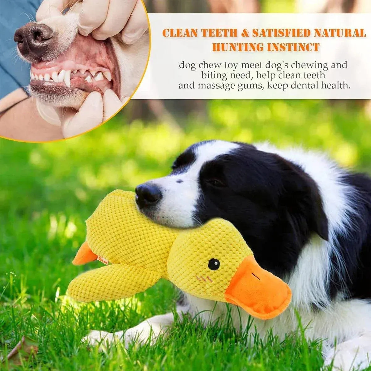 Spud Jax Petshop Plush Cartoon Duck Dog Toy Interactive Squeaky Pet Toy Durable Fun Chew Toy - Yellow Plush Cartoon Duck Dog Toy Interactive Squeaky Pet Toy Durable Fun Chew Toy - Yellow Pet Care > Dog Supplies > Dog Apparel