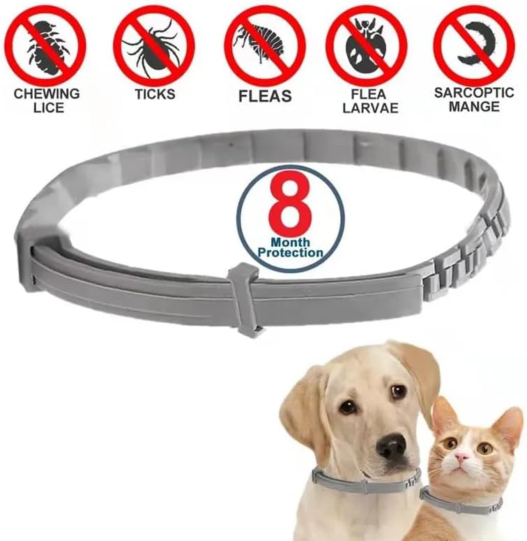 Spud Jax Petshop PawfectFriend Flea Collar for Dogs 8 Months Natural Flea Tick Collar for Dog Puppy PawfectFriend Flea Collar for Dogs 8 Months Natural Flea Tick Collar for Dog Puppy Pet Care > Dog Supplies > Dog Collars, Leads & Harnesses