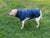 Spud Jax Petshop Pet Dog Raincoat Poncho Jacket Windbreaker Waterproof Clothes with Harness Hole-XS-Blue Pet Care > Dog Supplies