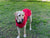 Spud Jax Petshop Pet Dog Raincoat Poncho Jacket Windbreaker Waterproof Clothes with Harness Hole-S-Red Pet Care > Dog Supplies