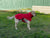 Spud Jax Petshop Pet Dog Raincoat Poncho Jacket Windbreaker Waterproof Clothes with Harness Hole-S-Red Pet Care > Dog Supplies