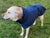 Spud Jax Petshop Pet Dog Raincoat Poncho Jacket Windbreaker Waterproof Clothes with Harness Hole-XL-Black (Single Layer) Pet Dog Raincoat Poncho Jacket Windbreaker Waterproof Clothes with Harness Hole-XL-Black (Single Layer) Pet Care > Dog Supplies > Dog Apparel